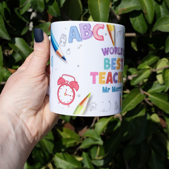 World's Best Teacher Mug