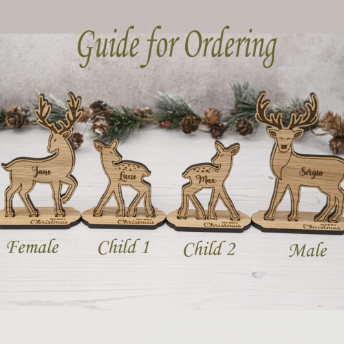 Christmas Reindeer Table Place Settings