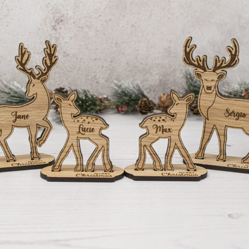 Christmas Reindeer Table Place Settings