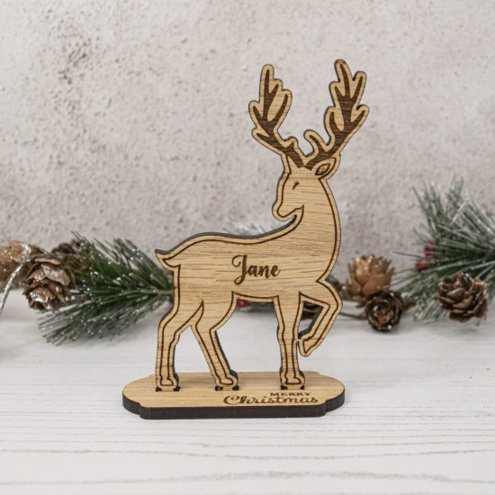 Christmas Reindeer Table Place Settings