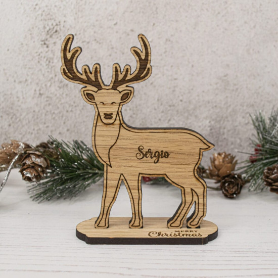 Christmas Reindeer Table Place Settings